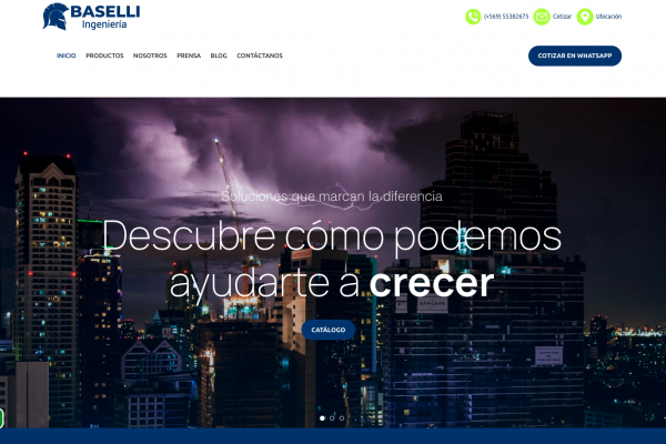 Baselli Ingeniería
